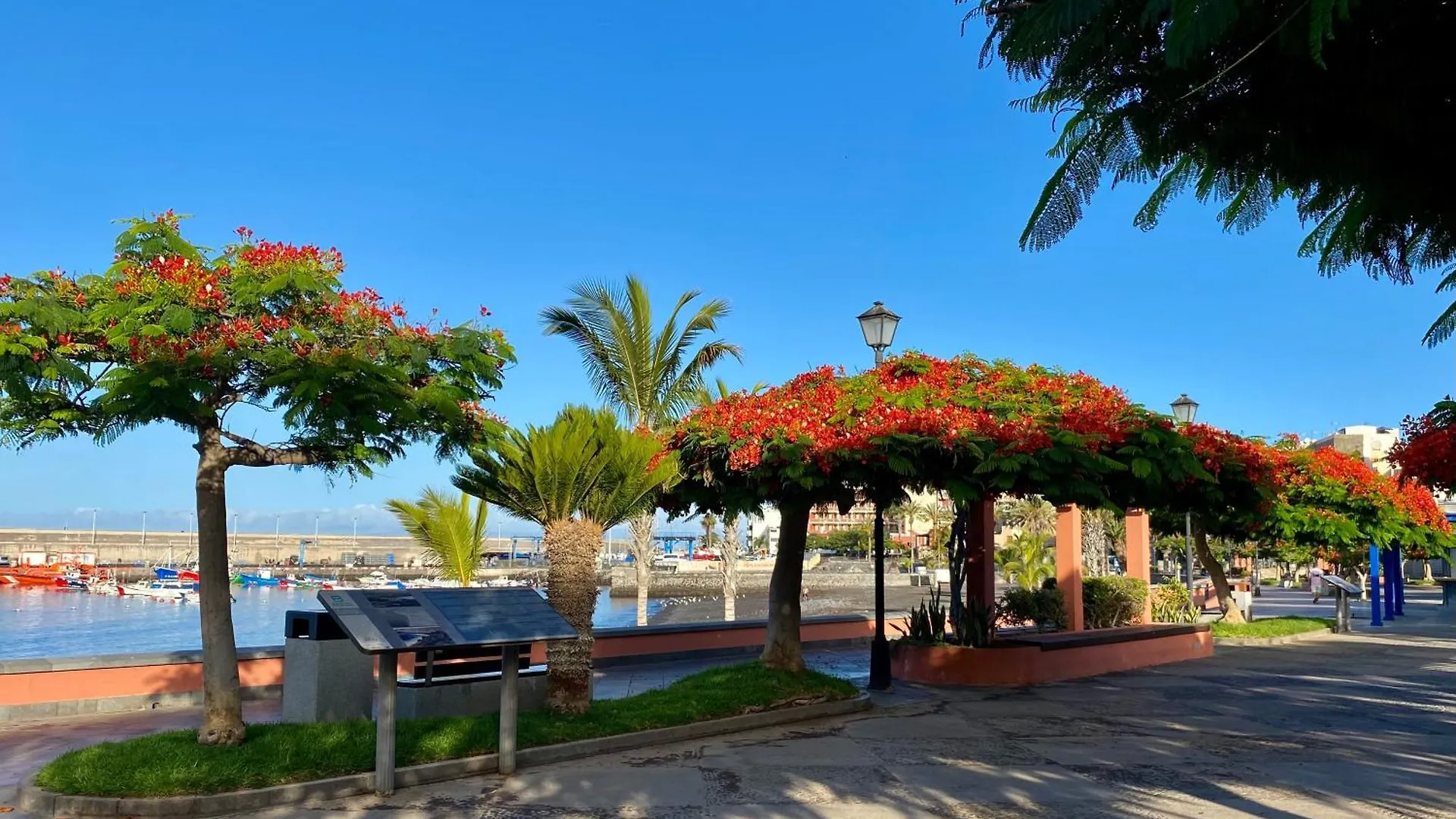 Appartamento Casa Antonio - Apartamento Orion Playa de San Juan  Spagna